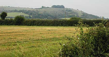 5 Buxbury hill