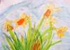 daffs_small.jpg
