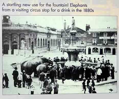elephants.jpg