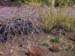 hilliers05_13