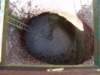 bigdig2_small.jpg