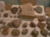 fossils_small.jpg