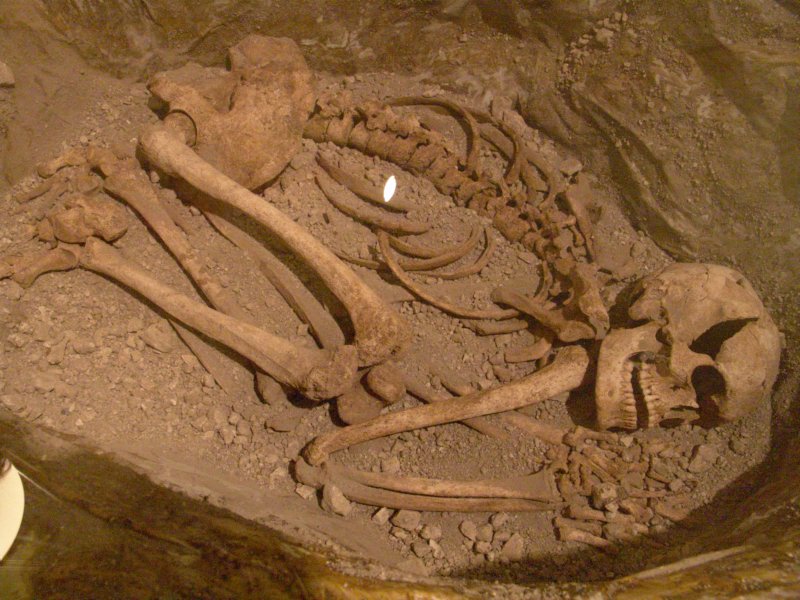 skeleton.jpg