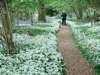 thetrail_small.jpg