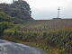 Lulworth001