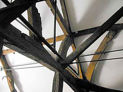 RadnorTrail053