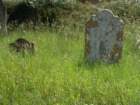 stedwardschurchyard2_small.jpg