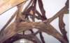 fiddlefordmanorrooftrusses_small.jpg