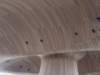 dsc09336_0014_small.jpg