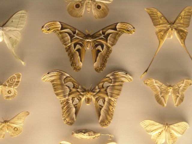 dsc09360_0037.jpg