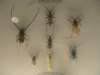dsc09361_0038_small.jpg