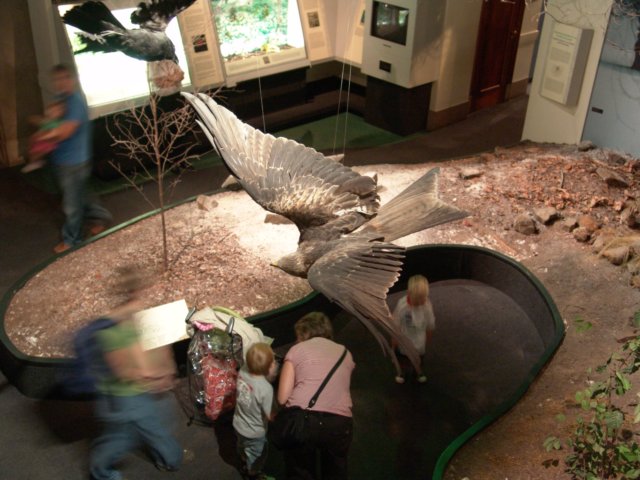 dsc09362_0039.jpg