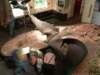 dsc09362_0039_small.jpg