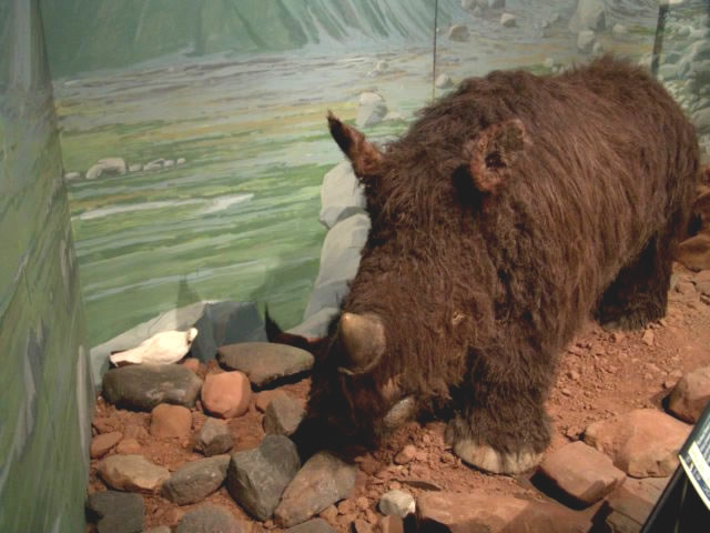dsc09366_0043.jpg