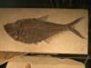dsc09367_0044_small.jpg
