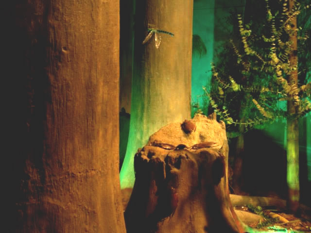 dsc09373_0049.jpg