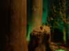 dsc09373_0049_small.jpg