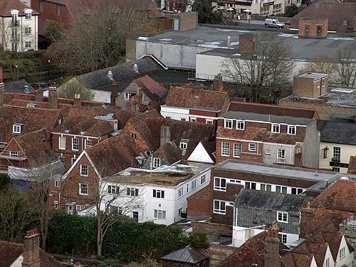 viewfromthetower5.jpg
