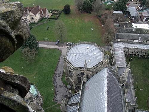 viewfromthetower9.jpg
