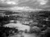 viewfromthetowersouth2_small.jpg