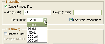 size