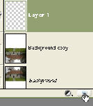new layer
