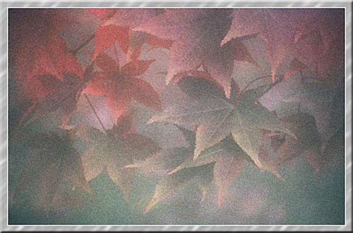 Autumn Leaves