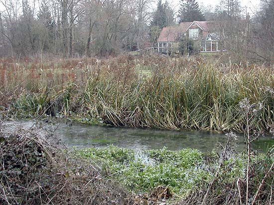 riveranton.jpg