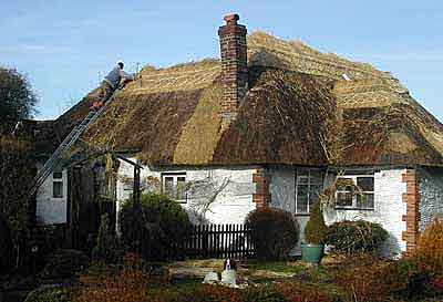 011-Thatching
