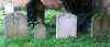 ceciltombs_small.jpg