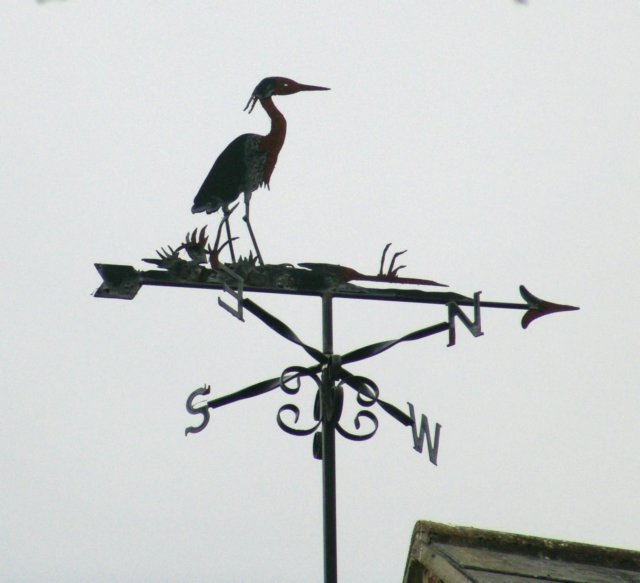 heronweathervane.jpg