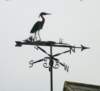 heronweathervane_small.jpg