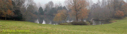 11ThePond