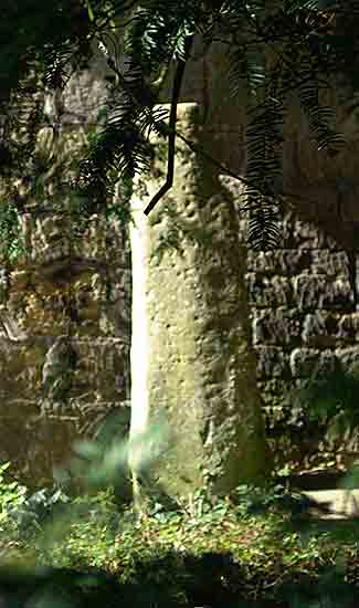 DSC00711
