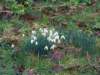 keevil03_small.jpg