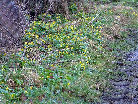 keevil04.jpg