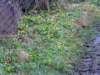 keevil04_small.jpg