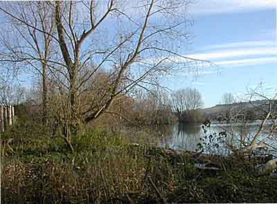 BrockbankLake