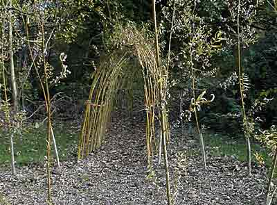 WillowTunnel