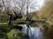 RiverWylie