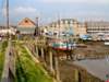 eling_0006_small.jpg