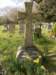 eling_0037_small.jpg