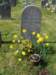 eling_0039_small.jpg