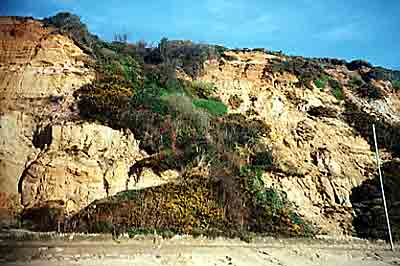Boscombe