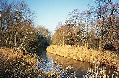 Broken Bridges Harnham