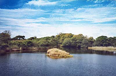 Salterns Lake Lymington
